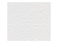 A. S. Creation Přetíratelná vliesová tapeta Meistervlies Creativ bílá 141415 A. S. Creation Přetíratelná vliesová tapeta Meistervlies Creativ bílá 141415