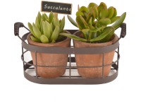 Aranžmá s dvojicí sukulentů v kovovém košíku průměr květináče cca 26 cm Aranžmá s dvojicí sukulentů v kovovém košíku průměr květináče cca 26 cm