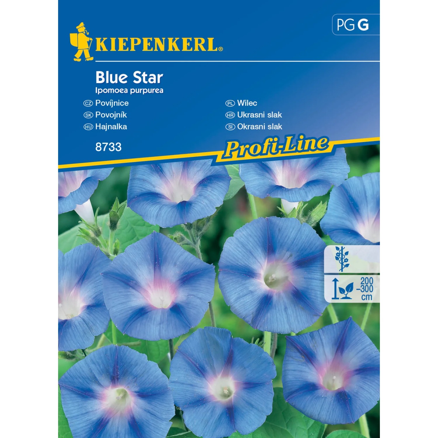 Kiepenkerl Semínka Povijnice Blue Star
