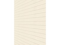 Nástěnný a stropní panel dekor hrušky bílý 130 x 20,2 x 1 cm