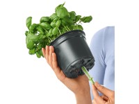 Lechuza Zavlažovací trn, sada 3 ks