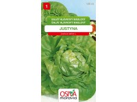 Semínka Salát hlávkový máslový Justyna (Lactuca sativa L.)