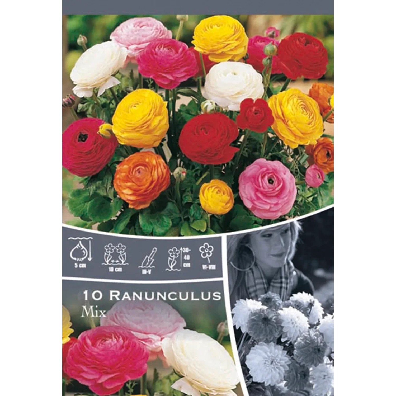 Směs pryskyřníků