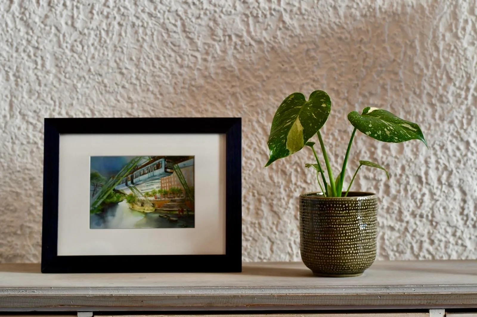 Landgard Monstera skvostn (M. deliciosa) "Thai Constellation" 5-10 cm, pr.  9 cm