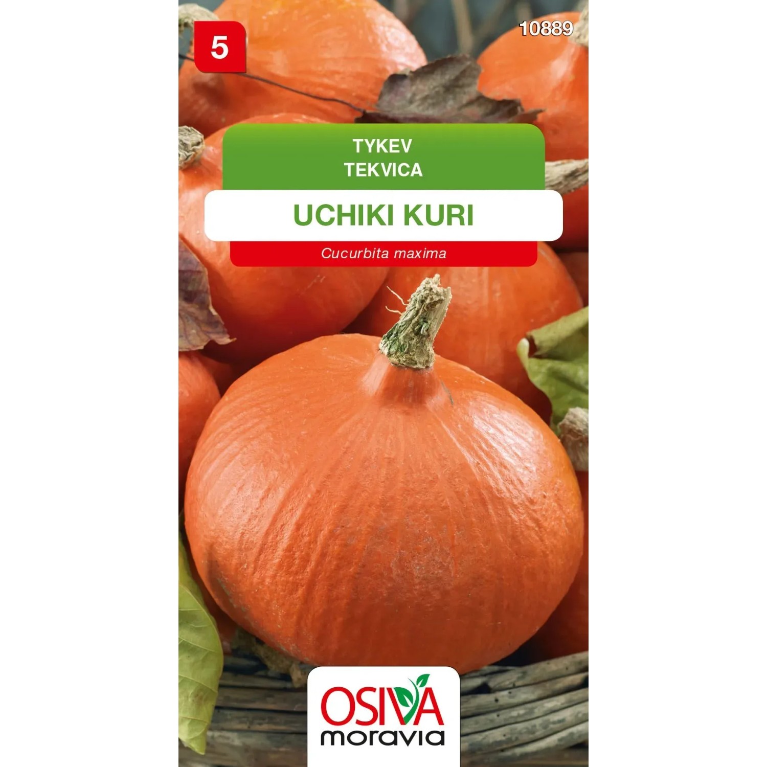 Semínka Tykev Uchiki Kuri (Cucurbita maxima)