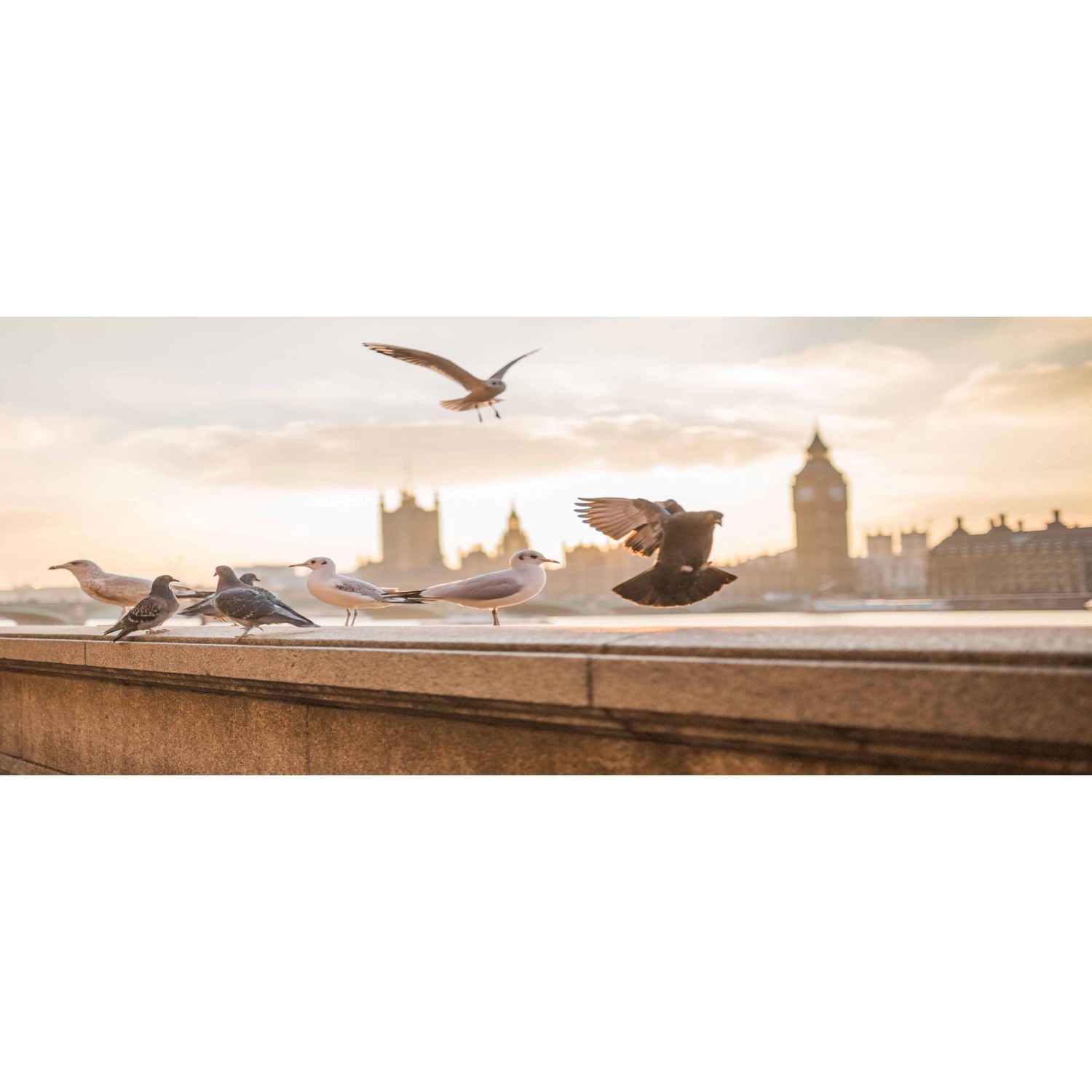 Bondecor Obraz, tištěné plátno Free 50 x 120 cm