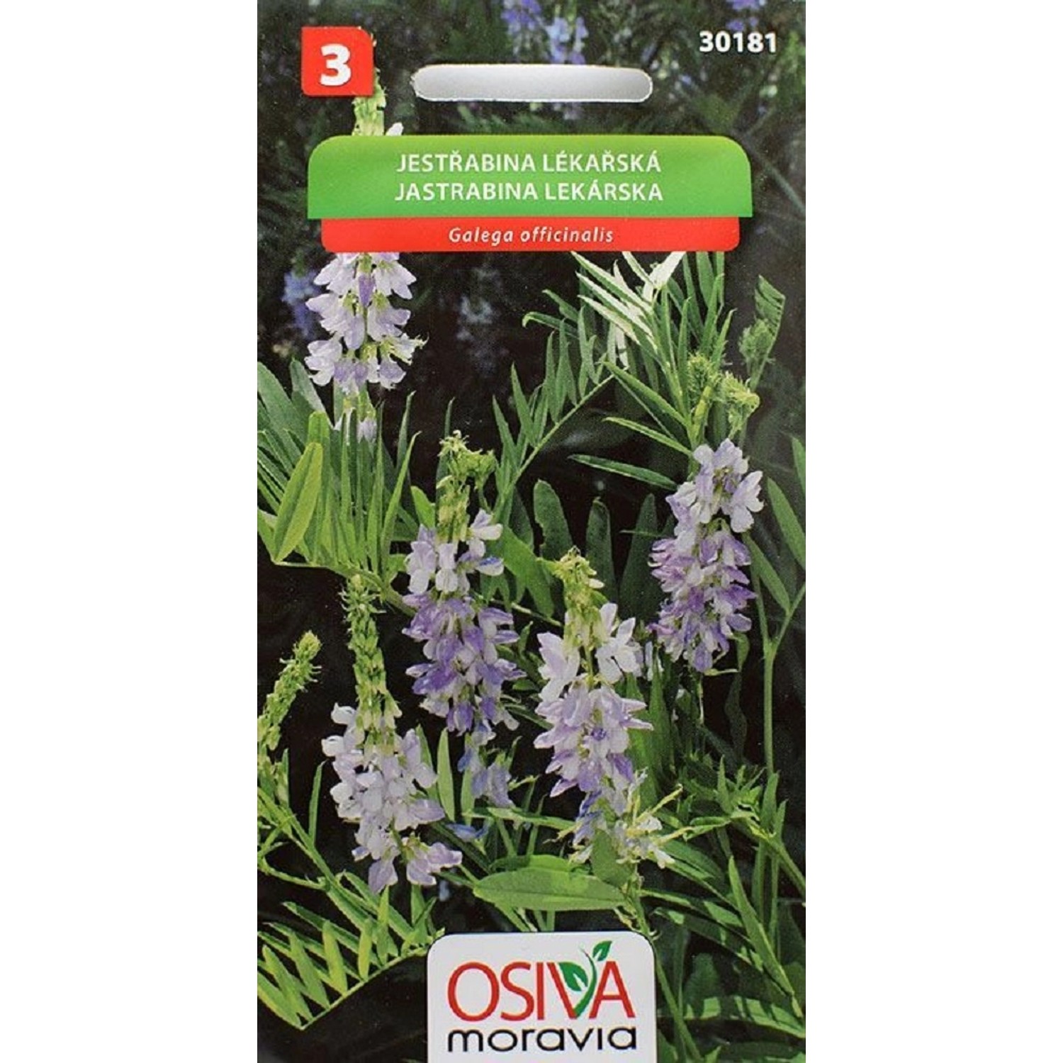 Jestřabina Lékařská (Galega officinalis)