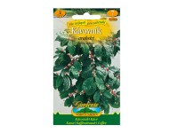 Gardenie Kávovník arabský