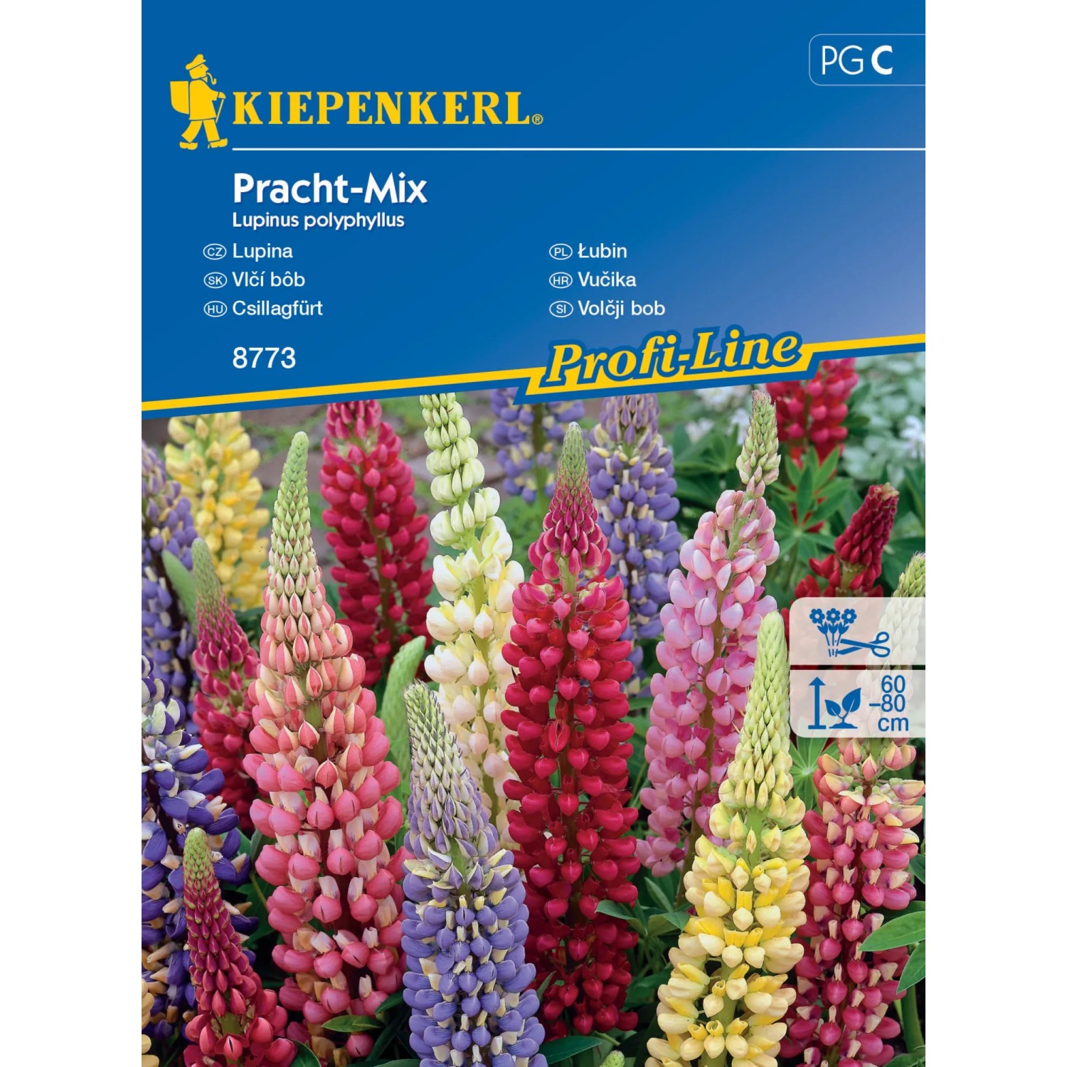 Kiepenkerl Semínka Lupina Pracht mix