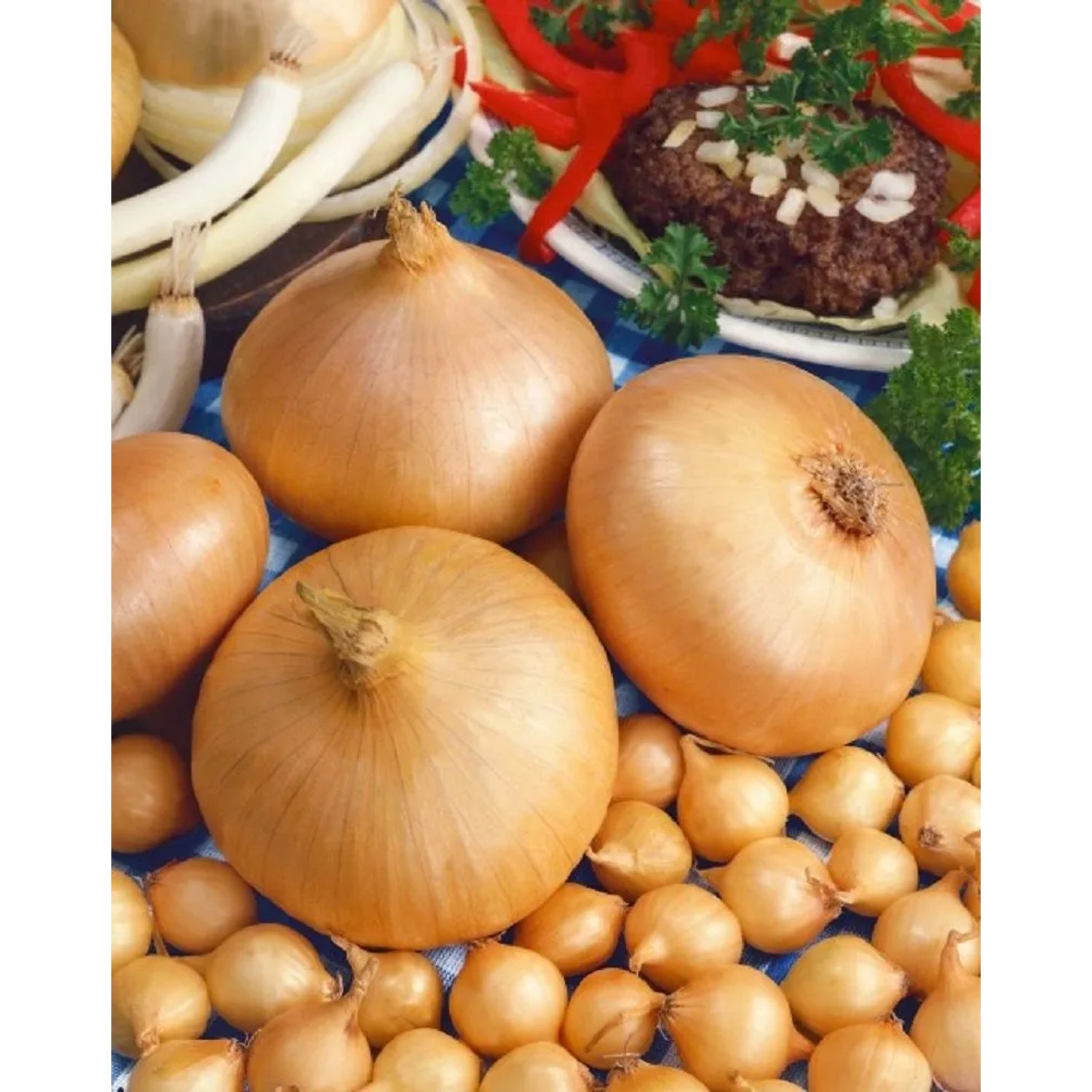 GardenSeed Premium Cibule sazečka Štutgarstká, 300 g