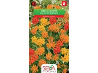 Semínka Klejicha hlíznatá (Asclepias tuberosa)