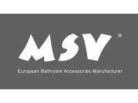 MSV