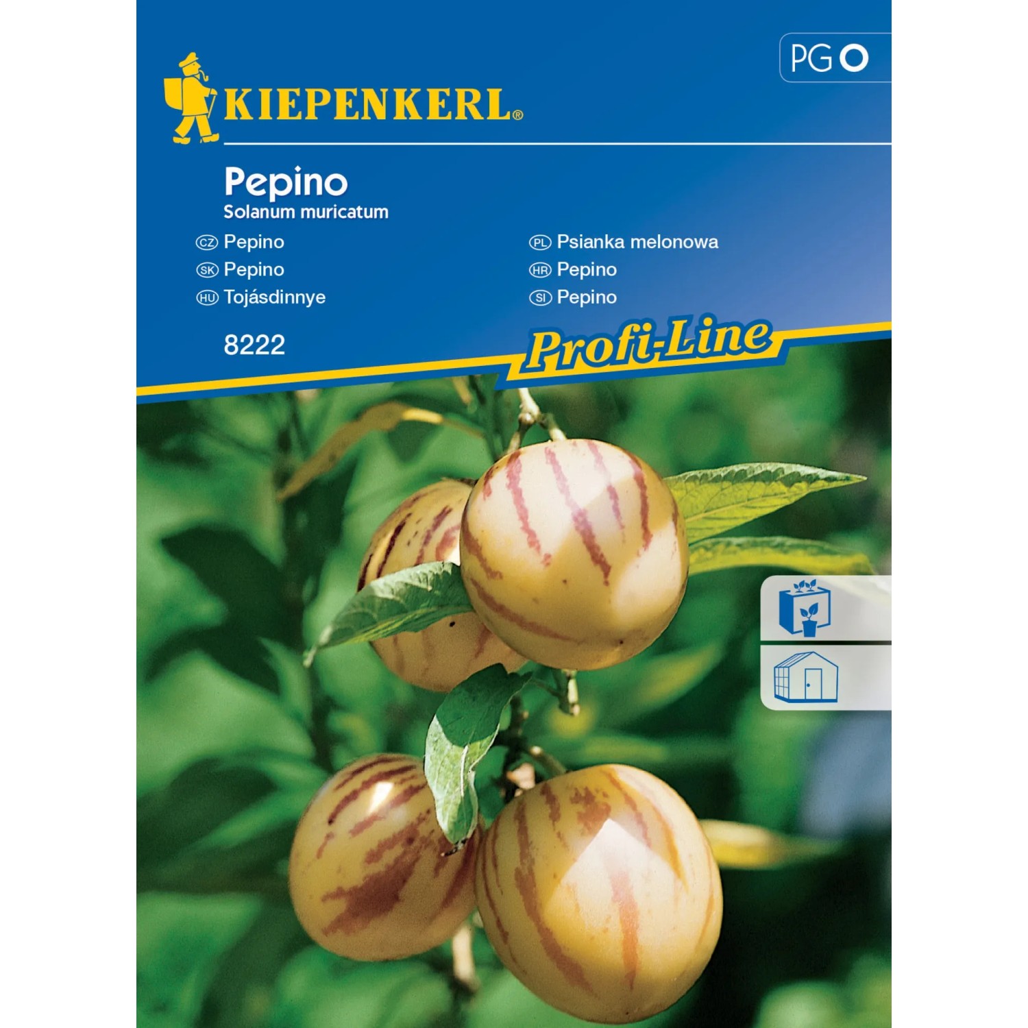 KIEPENKERL Pepino (Solanum muricatum)