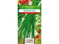 Semínka Pažitka pravá Medium Leaf (Allium schoenoprasum) Semínka Pažitka pravá Medium Leaf (Allium schoenoprasum)