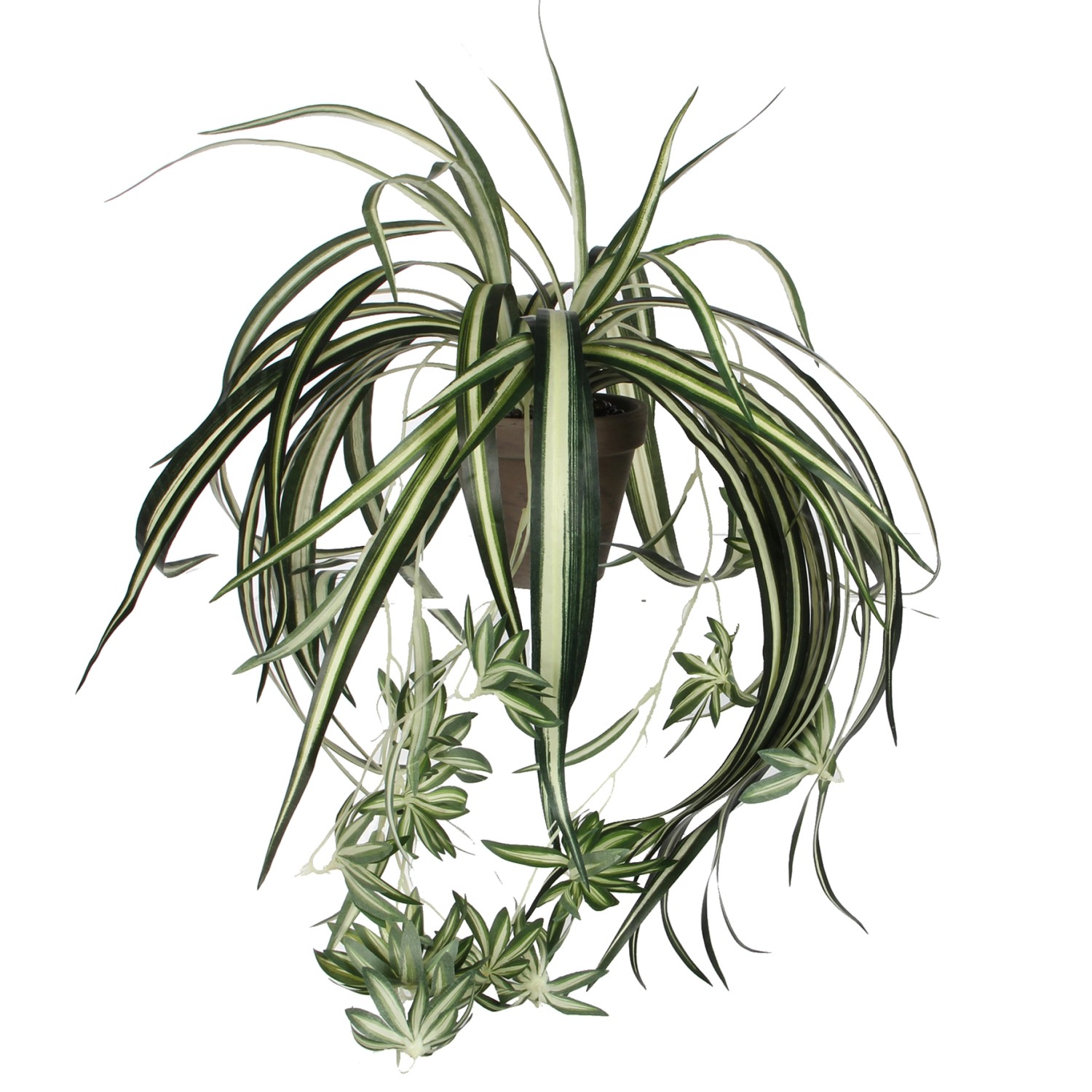 Mica Decorations Umělá květina Chlorophytum 45 cm