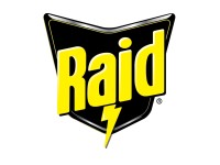 Raid