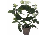 Mica Decorations Umělá květina Stephanotia bílá 50 cm