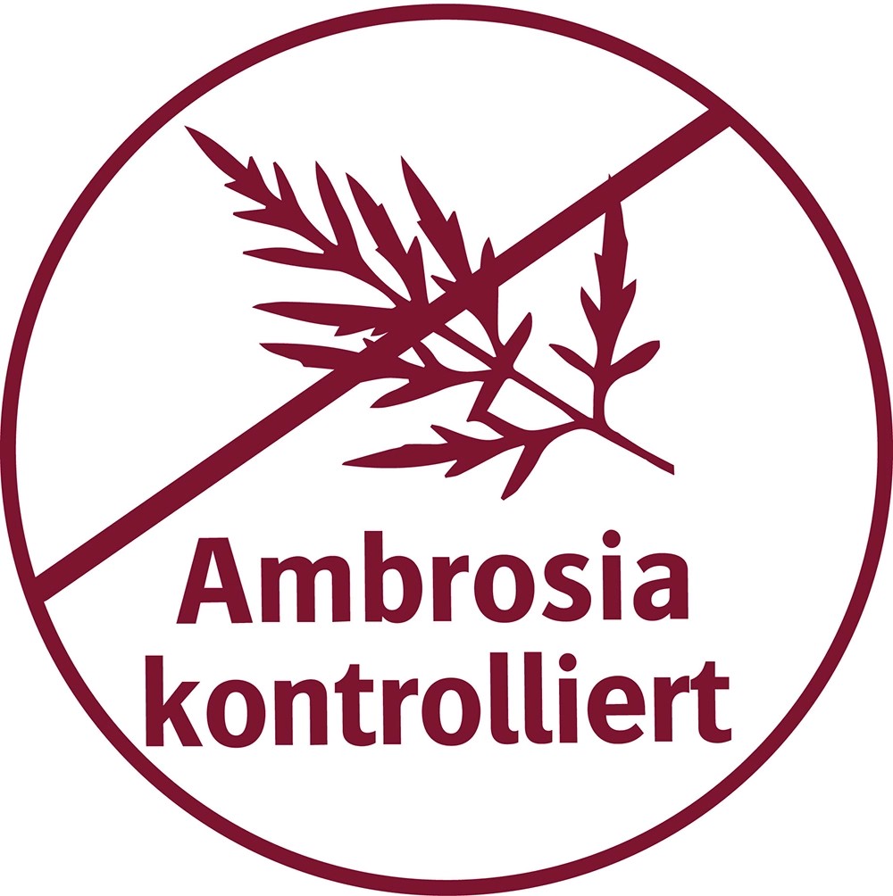 26940_BildPunkt6Ambrosia_1.jpg