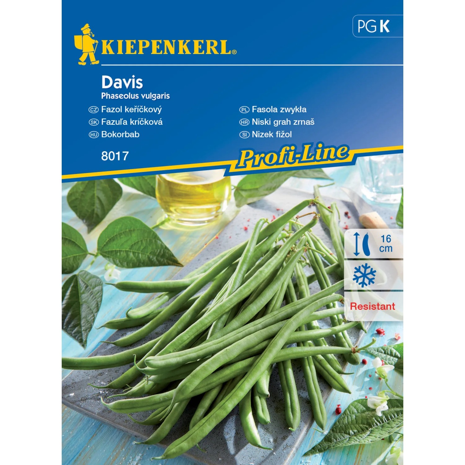 Kiepenkerl Semínka Fazol keříčkový Davis