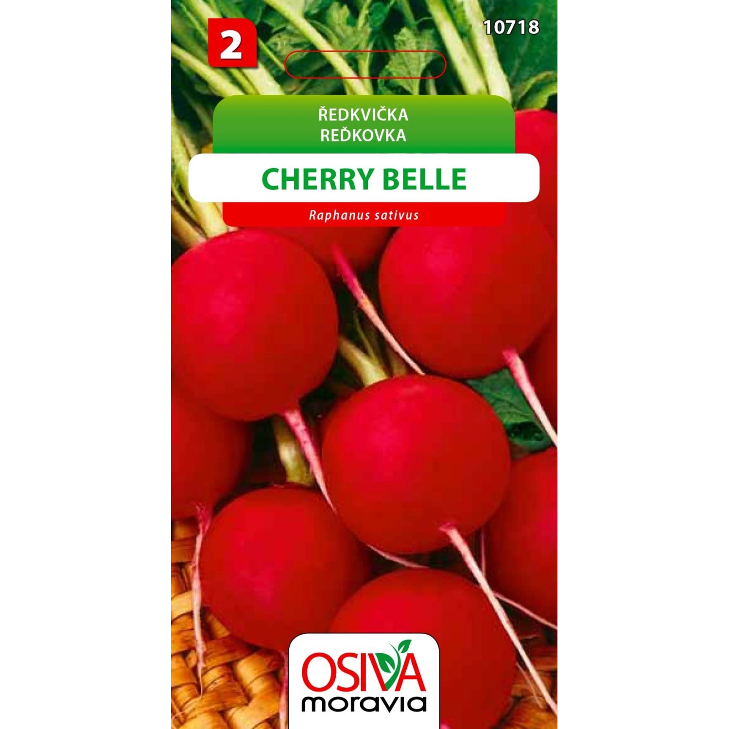 Ředkvička - Cherry Belle (Raphanus sativus)