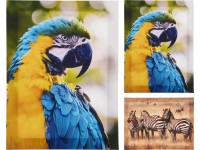 Koopman Nástěnná dekorace, zebra/papoušek, 30 x 40 cm, 1 ks