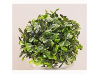 Zimostrázová koule 12 cm zelená