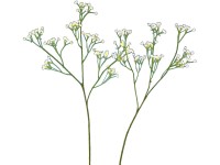 FlowerPower Větvička Gypsophilie 57 cm bílá/krémová 1 ks