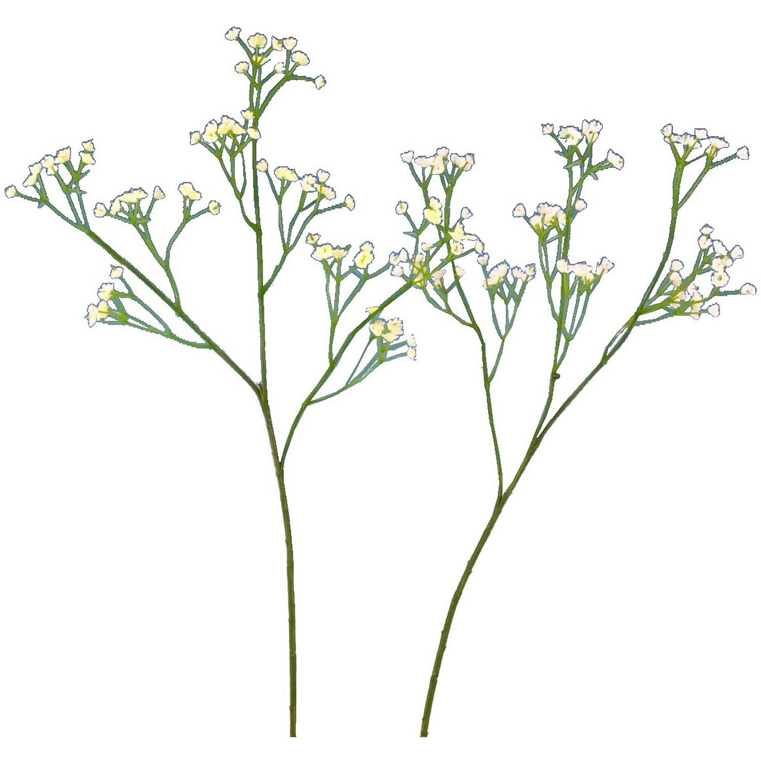 FlowerPower Větvička Gypsophilie 57 cm bílá/krémová 1 ks