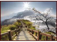 Bondecor Obraz Putframe Výhled 70 x 100 cm