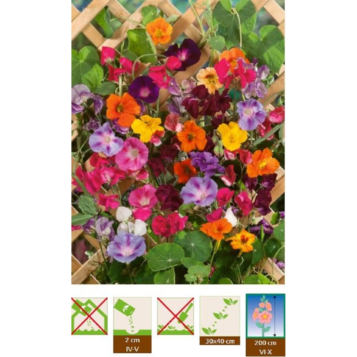 GardenSeed Premium Semínka Letničky pnoucí směs 2,5 g