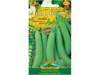 Gardenie Hrách dřeňový Ambassador pozdní