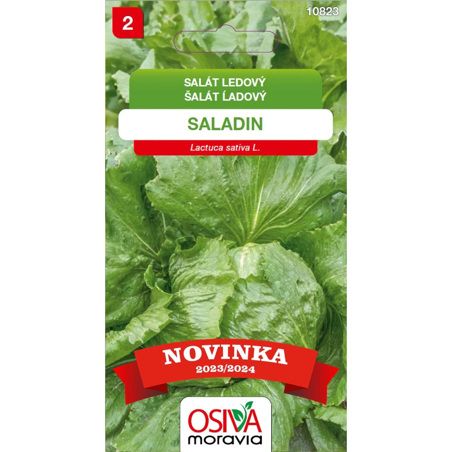 Semínka Salát hlávkový ledový Saladin (Lactuca sativa)