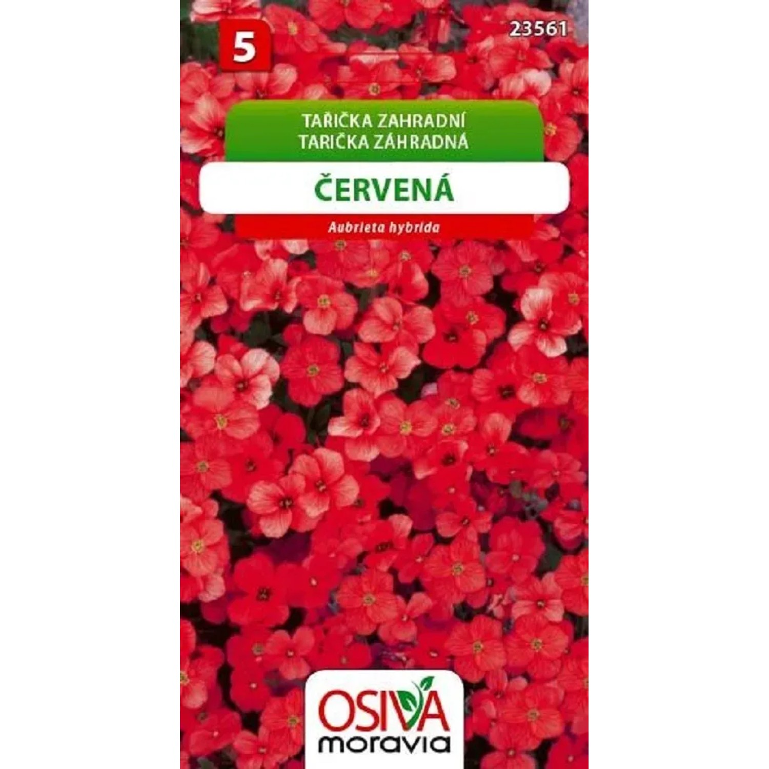 Semínka Tařička zahradní červená (Aubrieta hybrida)