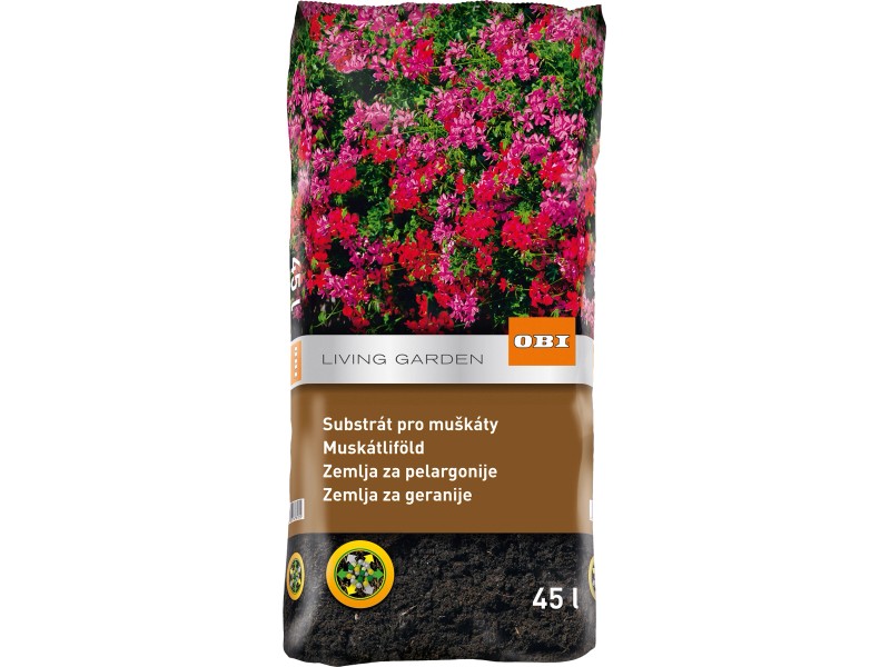 Obi Pnouci Muskaty (pnoucích muškátů, bohaté kvetení, Pnoucí muškáty) Obi Pnouci Muskaty