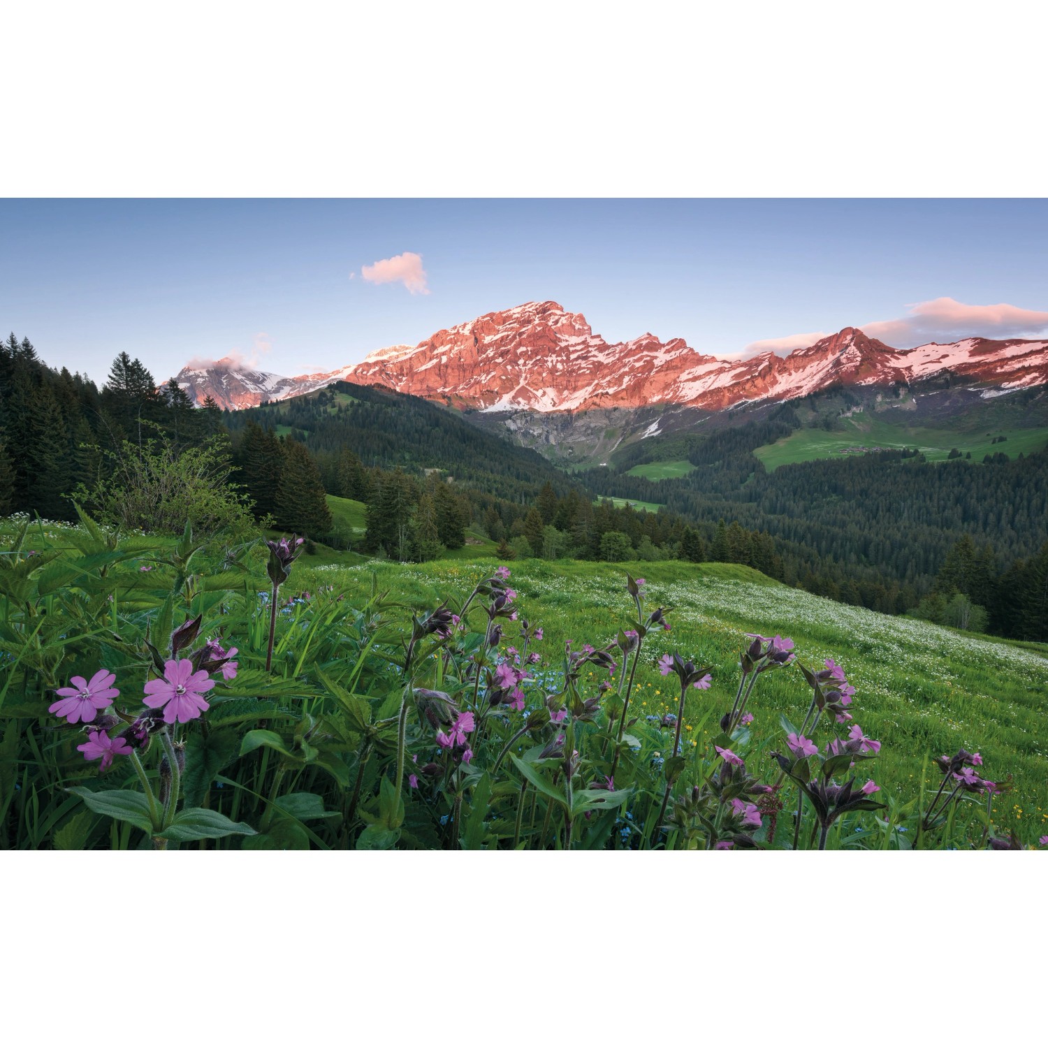 Komar Vliesová fototapeta Malebné Švýcarsko, 450 x 280 cm