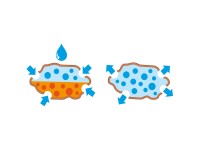 Seramis Substrát pro orchideje 2,5 l