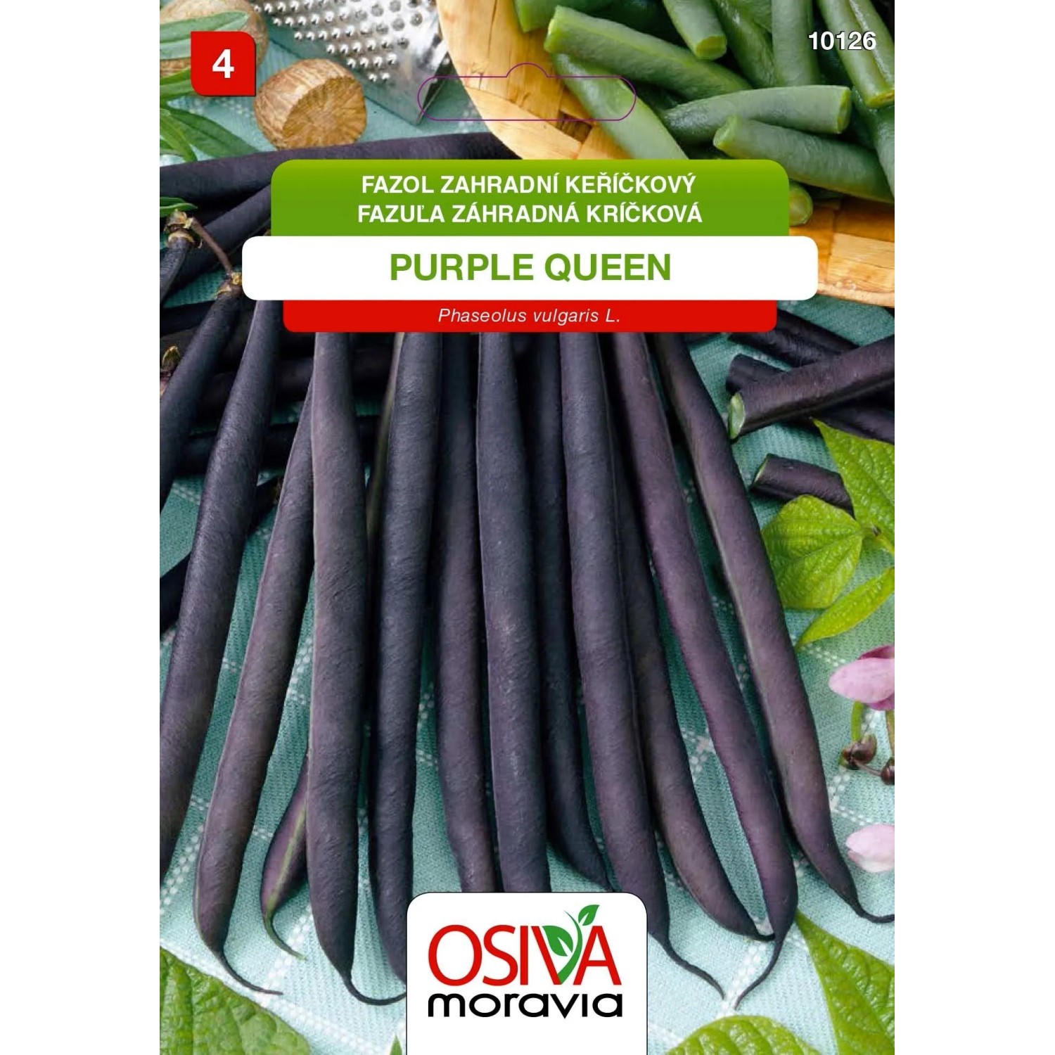 Semínka Fazol zahradní keříčkový Purple Queen (Phaseolus vulgaris L.)