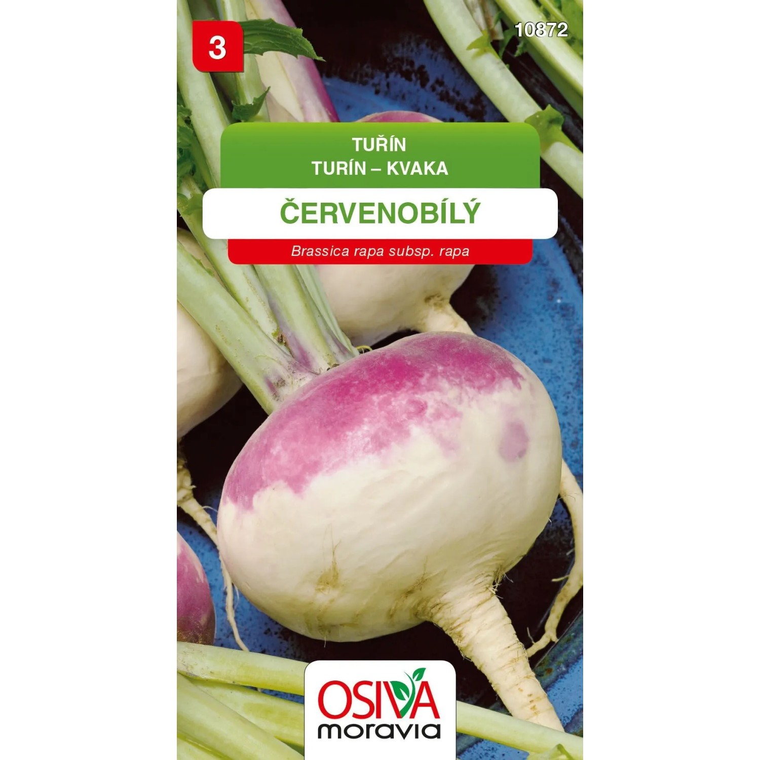 Semínka Tuřín červenobílý (Brassica rapa subsp. rapa)