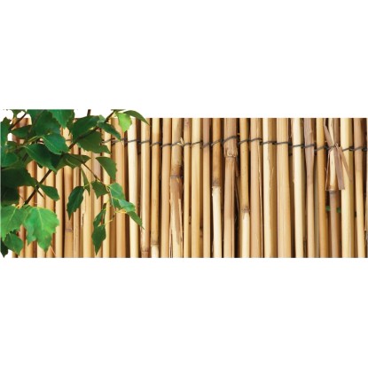 NOHEL GARDEN Rákosová rohož kávová 1,5 x 5 m