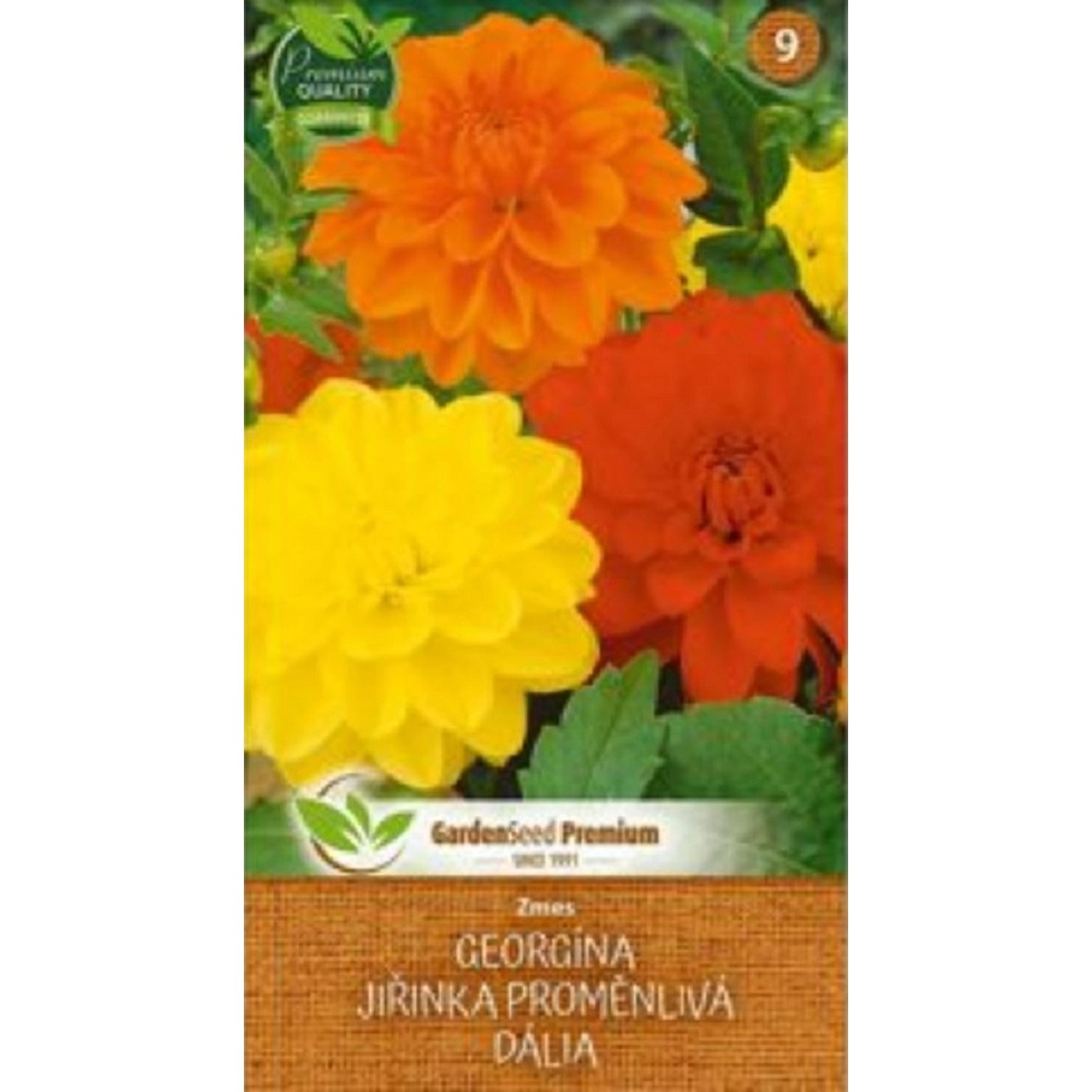 GardenSeed Premium Semínka Jiřinka proměnlivá 0,8 g