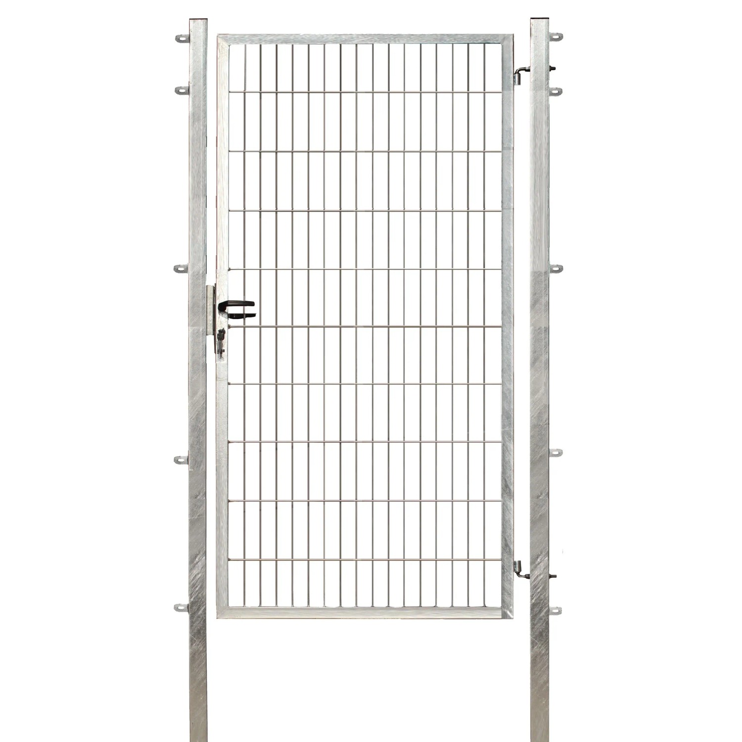 Floraworld Jednokřídlá branka s dvojitou výplní pozink 200 x 100 cm