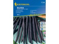 Kiepenkerl Fazol popínavý Blauhilde