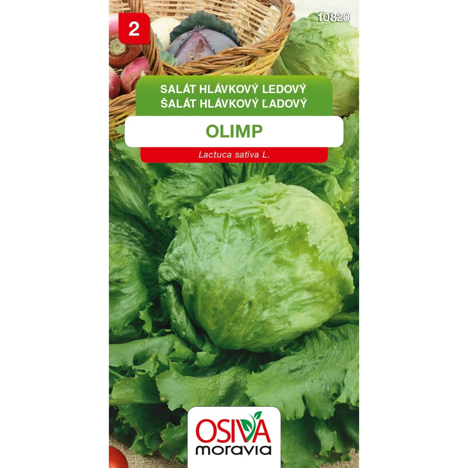 Semínka Salát hlávkový ledový Olimp (Lactuca sativa L.)