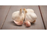 GardenSeed Premium Sadbový česnek Flavor, 250 g GardenSeed Premium Sadbový česnek Flavor, 250 g