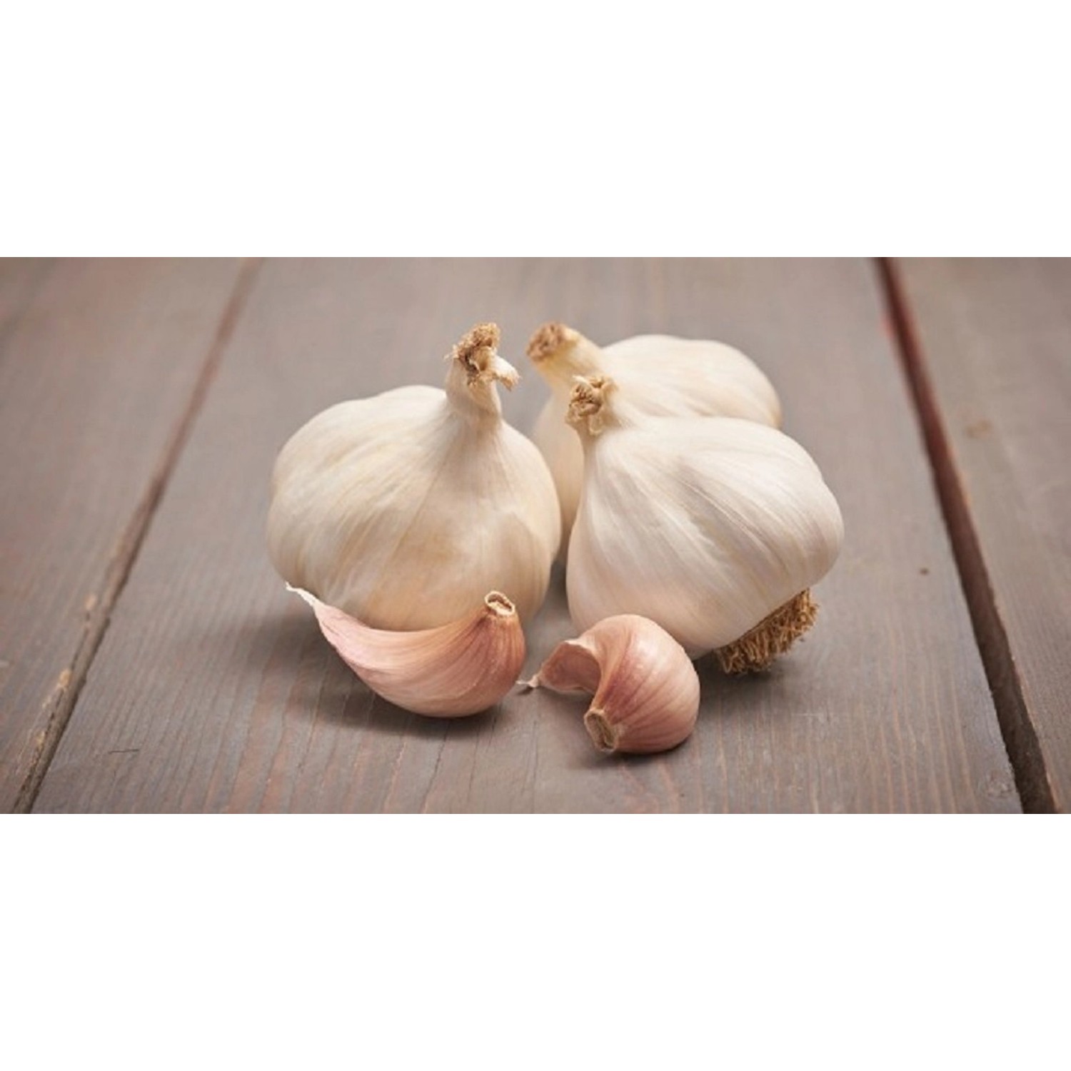 GardenSeed Premium Sadbový česnek Flavor, 250 g