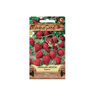 MoravoSeed Jahodník měsíční