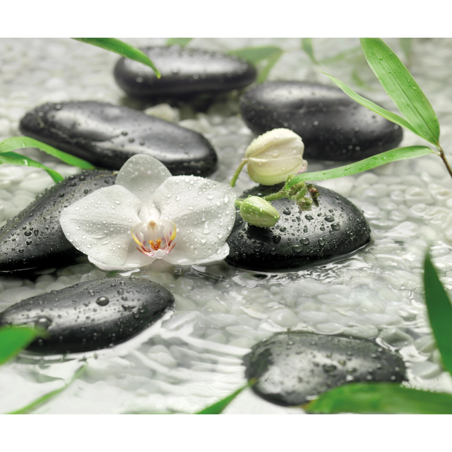 Komar Vliesová fototapeta Pure 300 x 250 cm