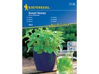Kiepenkerl Semínka Stevie Sweet Honey
