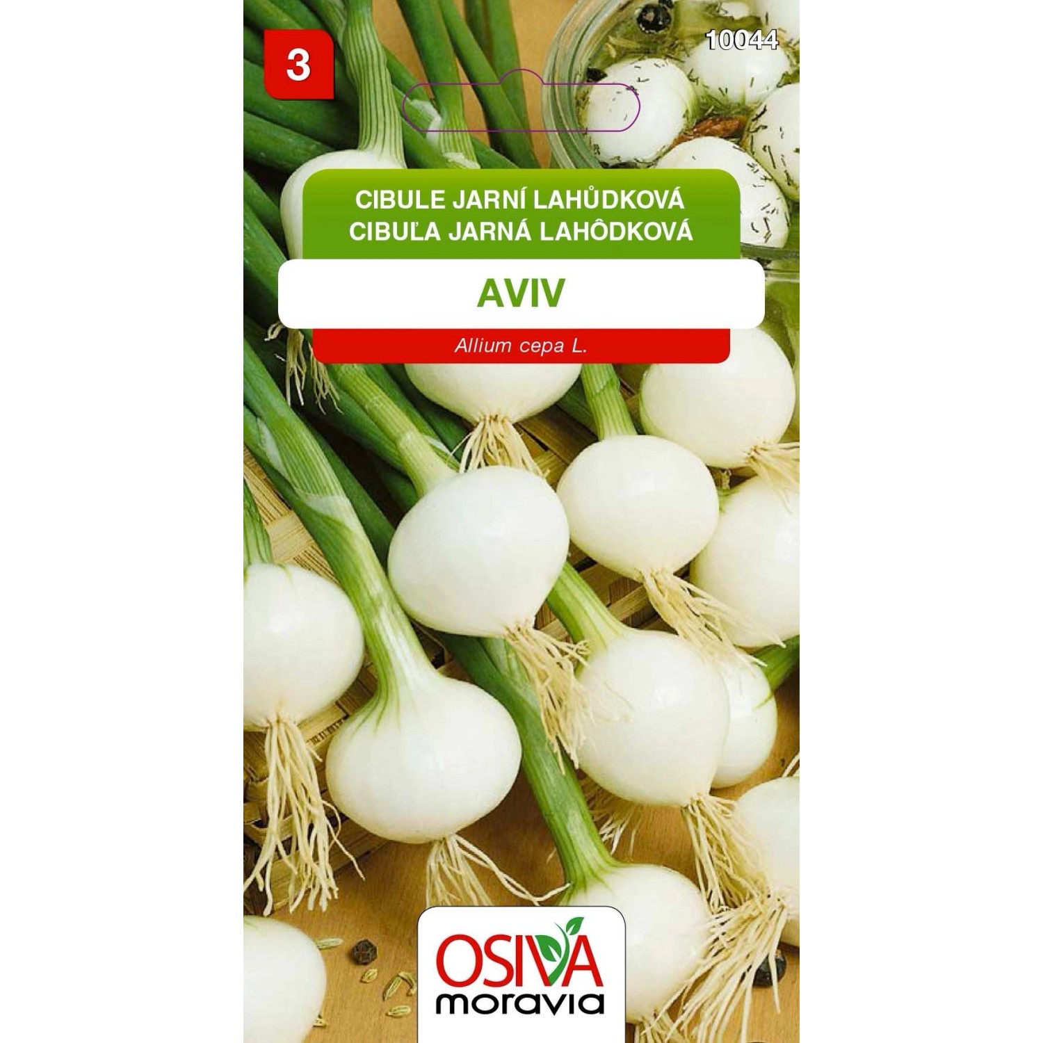 Semínka Cibule jarní lahůdková Aviv (Allium cepa L.)