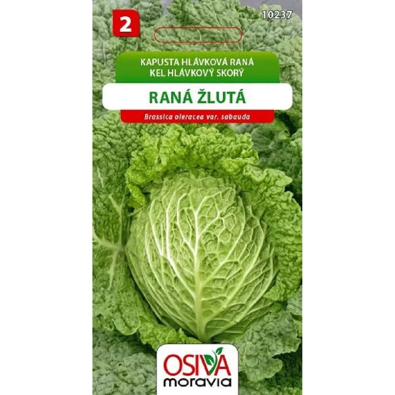 Semínka Kapusta hlávková Raná žlutá (Brassica oleracea var. sabauda)